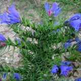 0609F 15 Rotterdam-Leer